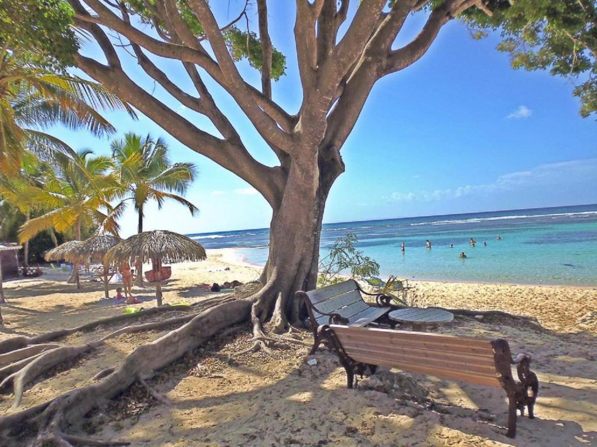 Villa Creole Domaine Prive De L'Anse Des Rochers แซงต์-ฟรองซัวส์ ภายนอก รูปภาพ